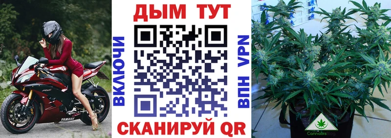 Конопля THC 21%  Купить где  Дедовск 